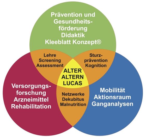 Diagramm mit Aktivitäten-Spektrum der Geriatrischen Forschungsabteilung