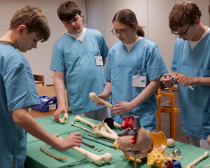 Teilnehmende des Girls’ & Boys’ Day untersuchen im Albertinen Krankenhaus anatomische Modelle von Knochen und Organen.